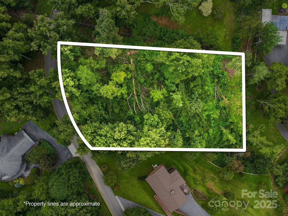 99999 Windsor Road, Asheville, NC 28804 - Image #1