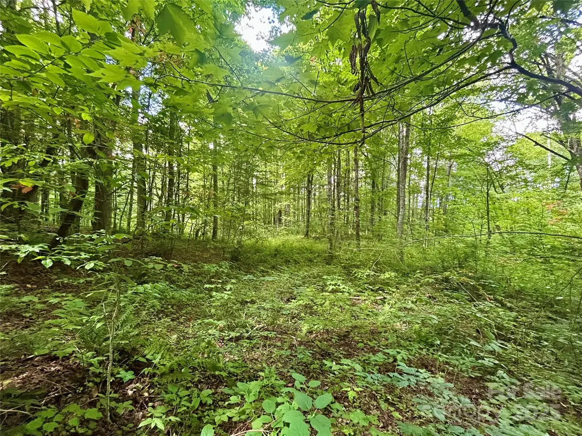 Tract 2 Nips Way Way, Cullowhee, NC 28723 - Image #1