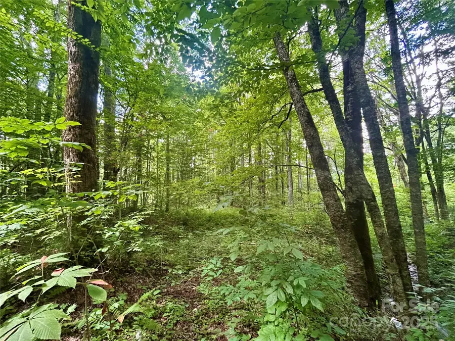 Tract 2 Nips Way Way, Cullowhee, NC 28723 - Image #3