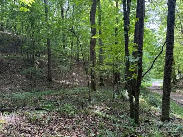 0 Cane Mountain Lane, Burnsville, NC 28714 - Image #2