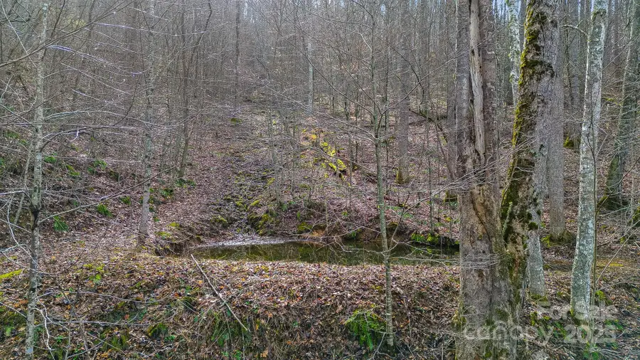 15 Our Way Drive, Mars Hill, NC 28754 - Image #3