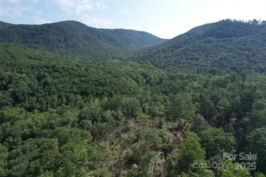 0 Camp Mccall Road, Bostic, NC 28018 - Image #3