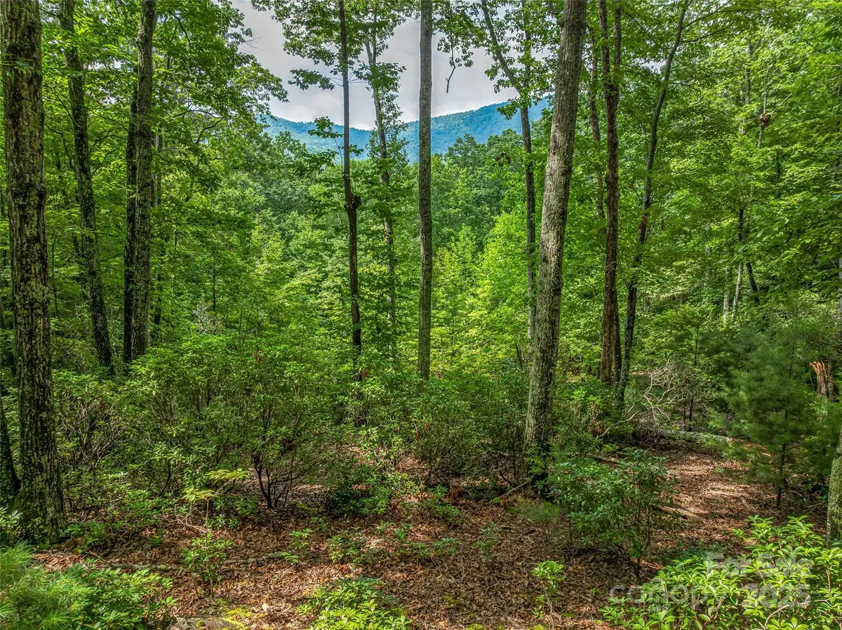 72 Smokey Ridge Trail #196, Arden, NC 28704 - Image #1