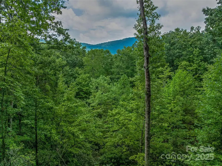 72 Smokey Ridge Trail #196, Arden, NC 28704 - Image #2