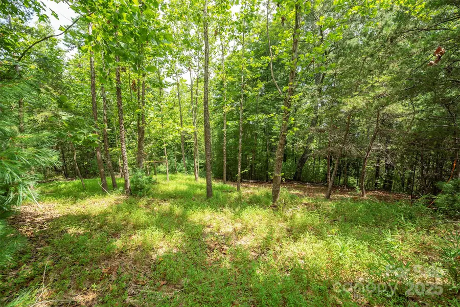 LOT 46 Black Forest Drive, Marion, NC 28752 - Image #3
