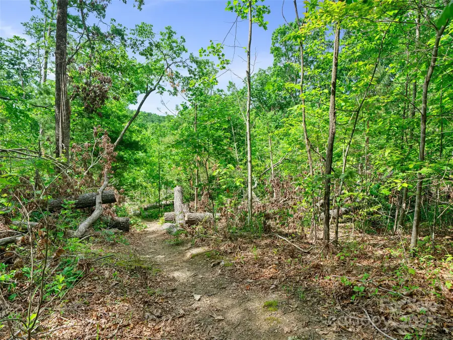 99999 Millbrae Loop N, Hendersonville, NC 28791 - Image #2