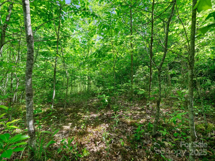 99999 Millbrae Loop N, Hendersonville, NC 28791 - Image #3