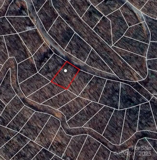 154 Raccoon Road, Beech Mountain, NC 28604 - Image #3