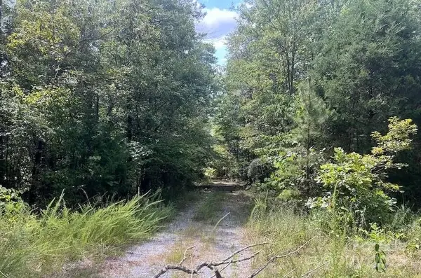 00 Blue Branch Road #Tract D, Gaffney, SC 29340