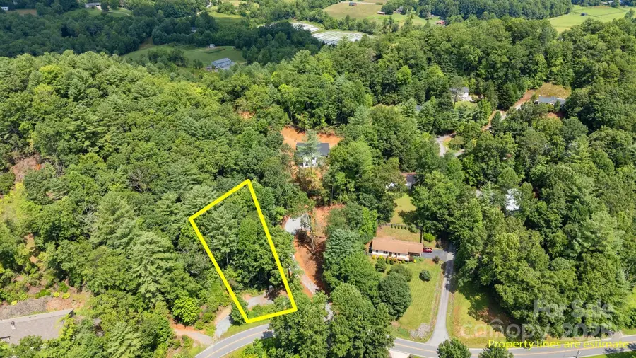 0 Turnpike Road #5, Horse Shoe, NC 28742 - #2