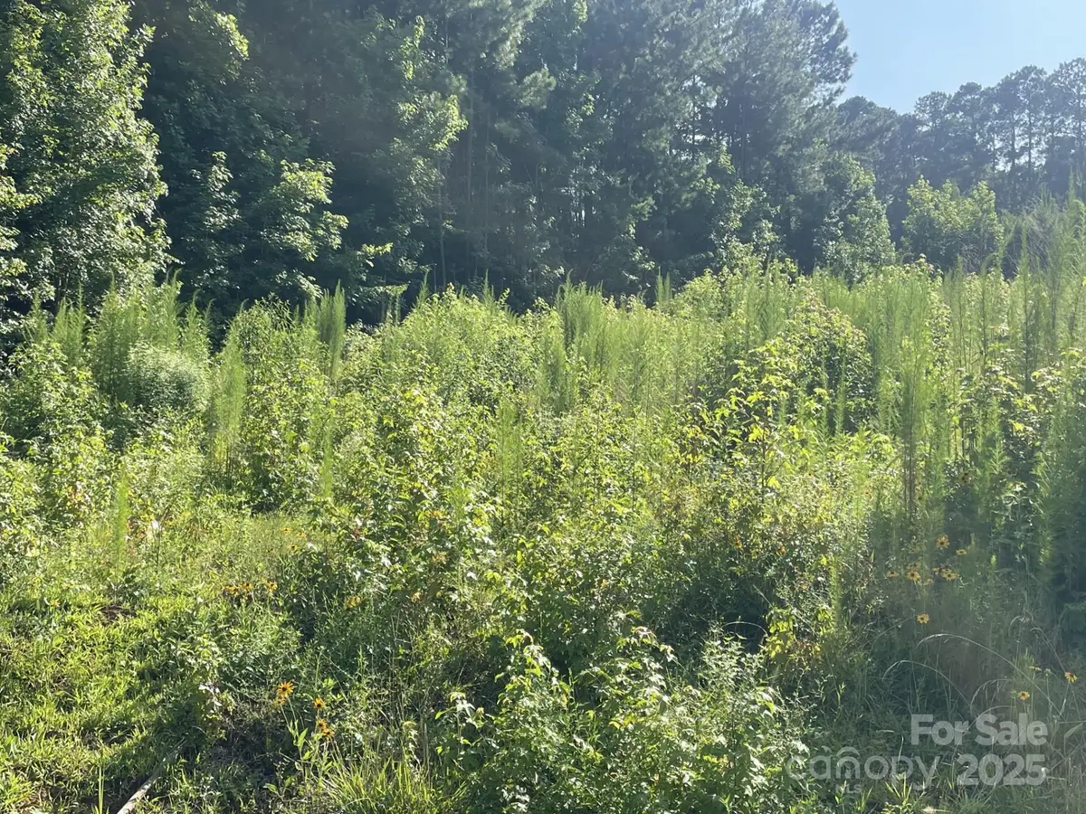 0 Ski Pond Road, New London, NC 28127 - Image #1