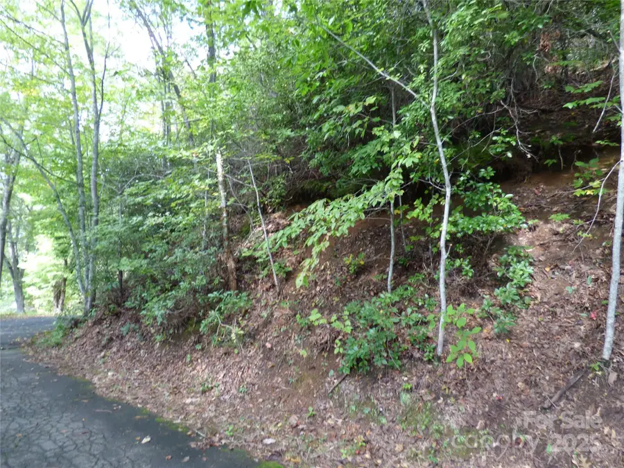 000 Ridgeway Street, Sylva, NC 28779 - Image #2