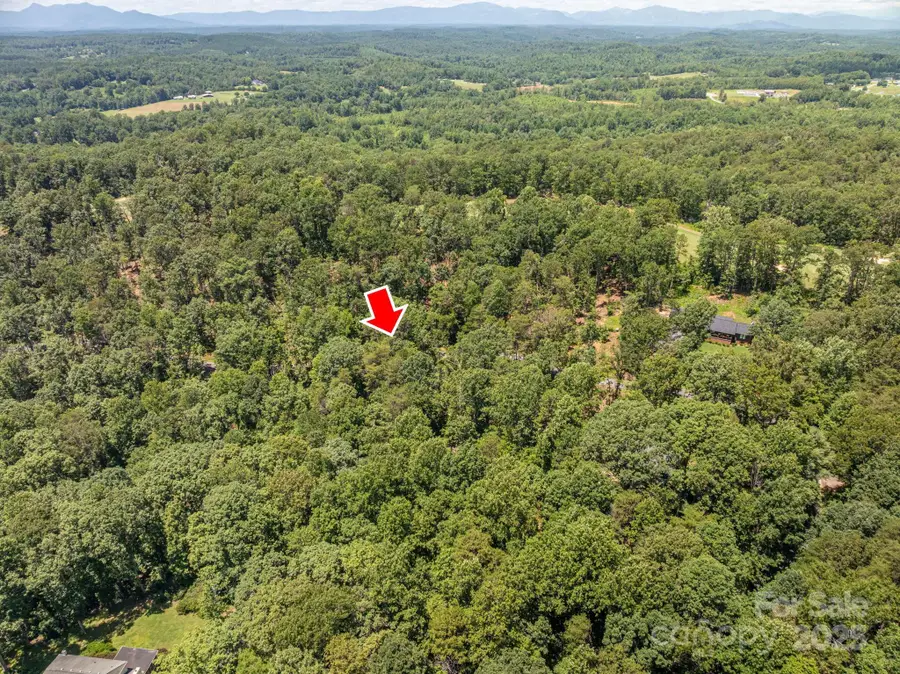 Lot 131 Plantation Drive, Rutherfordton, NC 28139 - Image #3