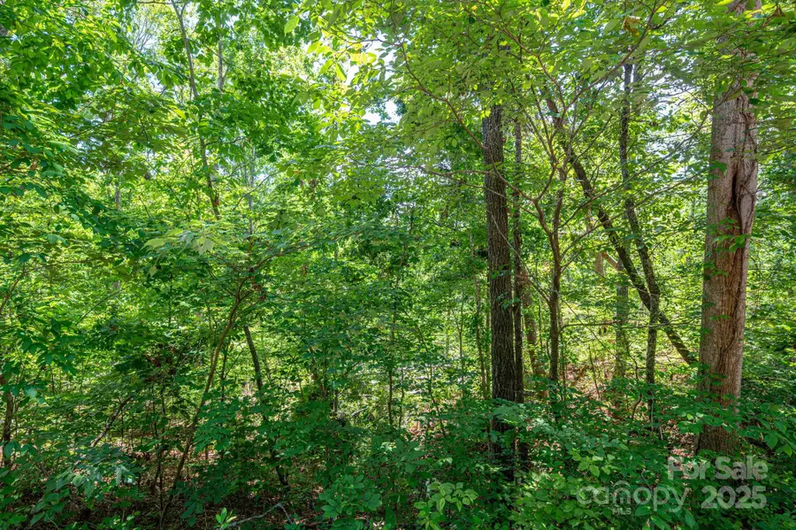 Lot 132 Plantation Drive, Rutherfordton, NC 28139 - Image #3