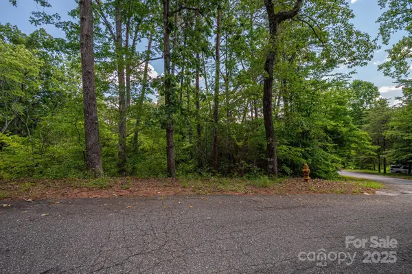 Lot 207 Plantation Drive, Rutherfordton, NC 28139