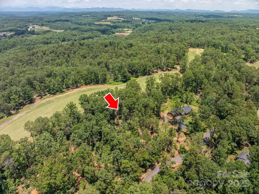 Lot 209 Plantation Drive, Rutherfordton, NC 28139 - Image #2