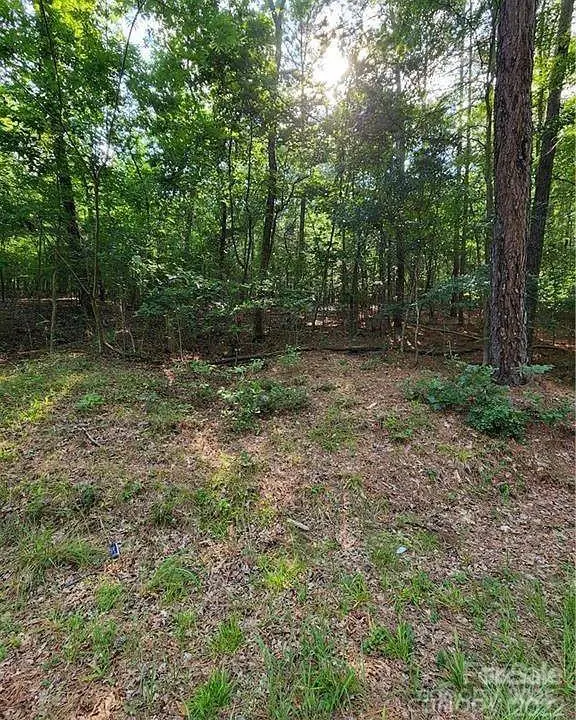 0 Bishop Lane, Mill Spring, NC 28756 - Image #3