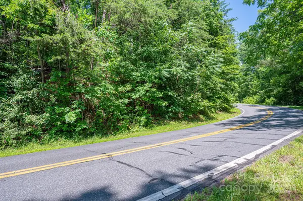 Lot 3 Cleghorn Mill Road, Rutherfordton, NC 28139