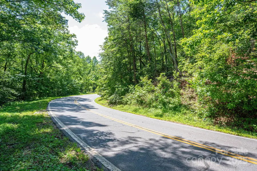 Lot 3 Cleghorn Mill Road, Rutherfordton, NC 28139 - Image #3