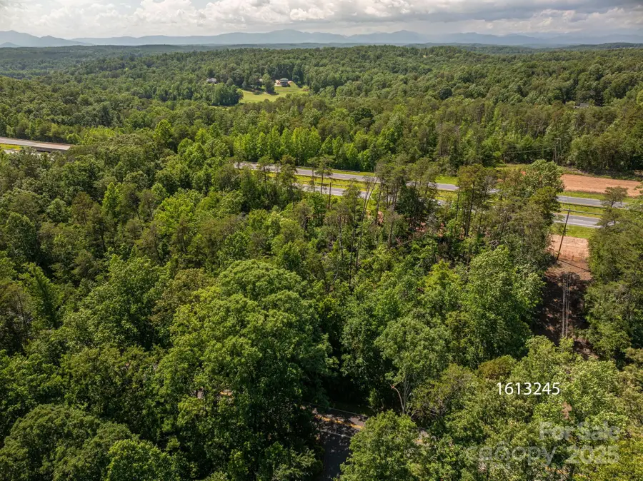 Lot 1 Cleghorn Mill Road, Rutherfordton, NC 28139 - Image #3