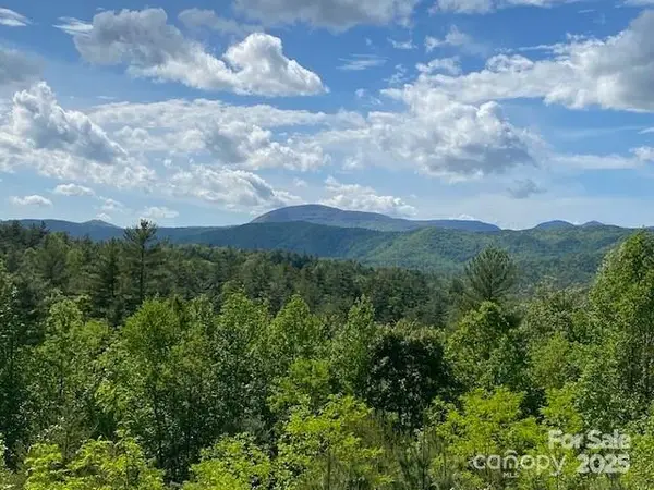 241(Lot 58) Peppervine Circle, Rosman, NC 28772