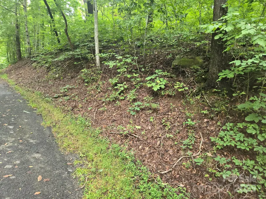 Lot 96 Chalet Road, Lake Lure, NC 28746 - Image #3