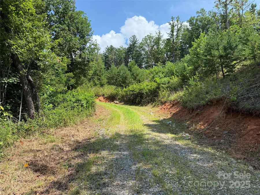 TBD Lazy Bear Lane, Purlear, NC 28665 - Image #3