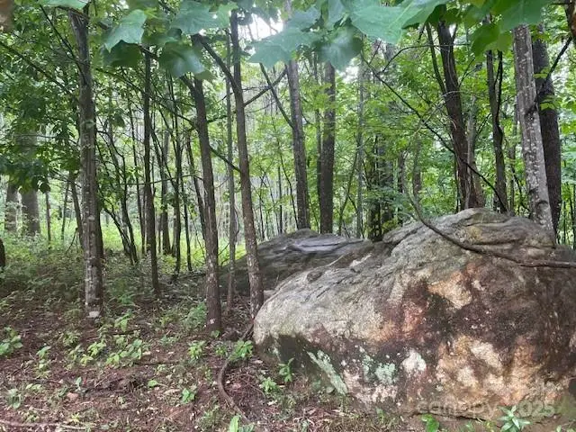 00 Cherry Hill Street, Mill Spring, NC 28756 - Image #2