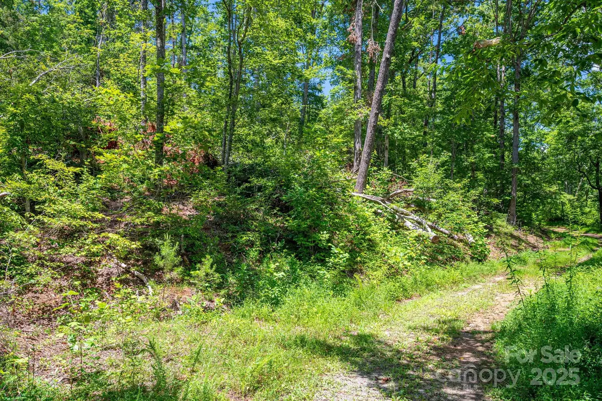 Lot 221 Plantation Drive, Rutherfordton, NC 28139 - Image #1