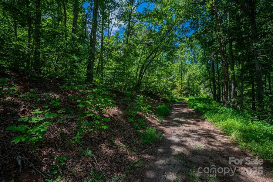 Lot 221 Plantation Drive, Rutherfordton, NC 28139 - Image #2