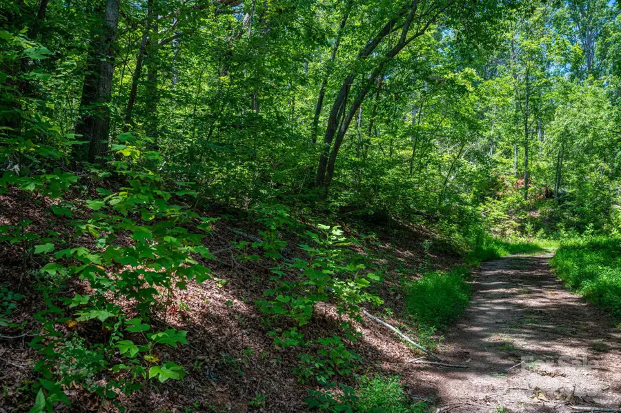 Lot 221 Plantation Drive, Rutherfordton, NC 28139 - Image #3