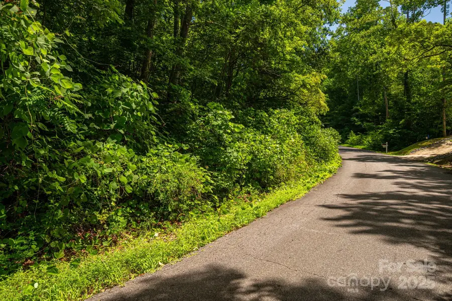 Lot 164 Plantation Drive, Rutherfordton, NC 28139 - Image #2