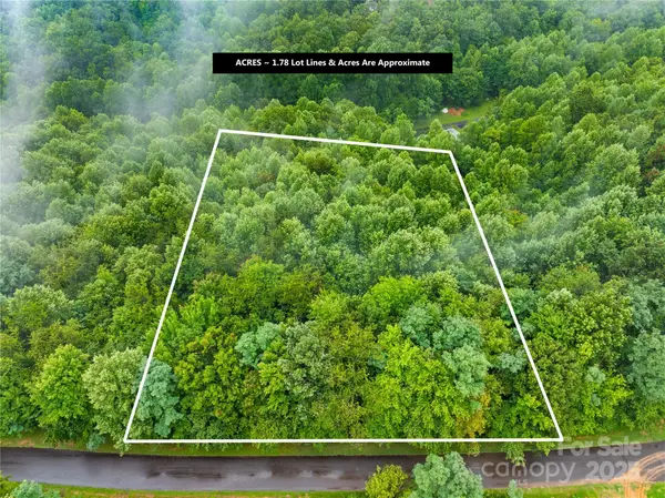 262 Feather Falls Trail #3, Black Mountain, NC 28762