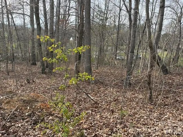 3845 Laurel Heights Drive, Morganton, NC 28655 - #2