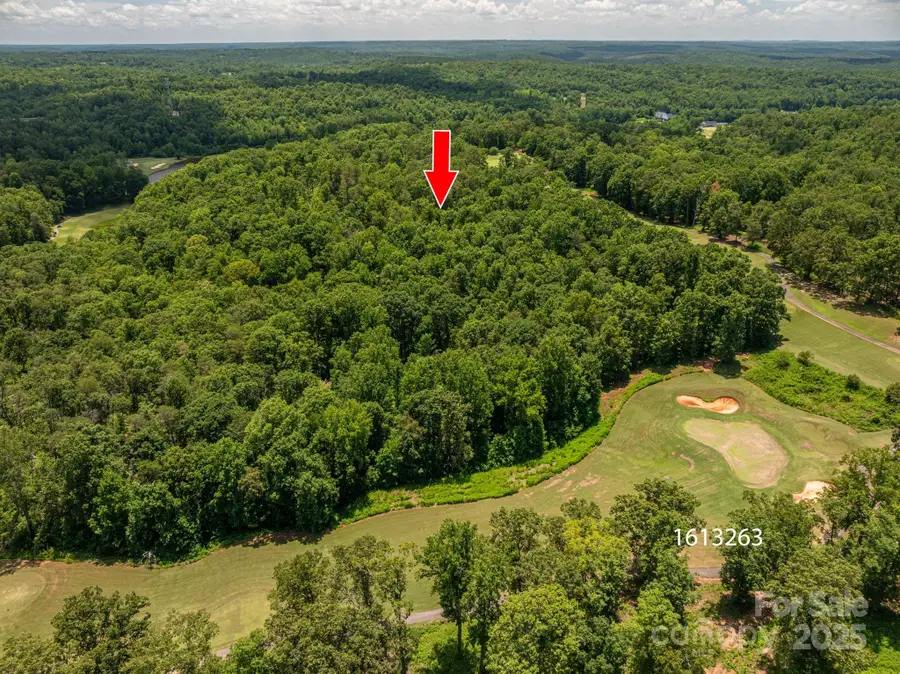 Lot 214 Plantation Drive, Rutherfordton, NC 28139 - Image #3