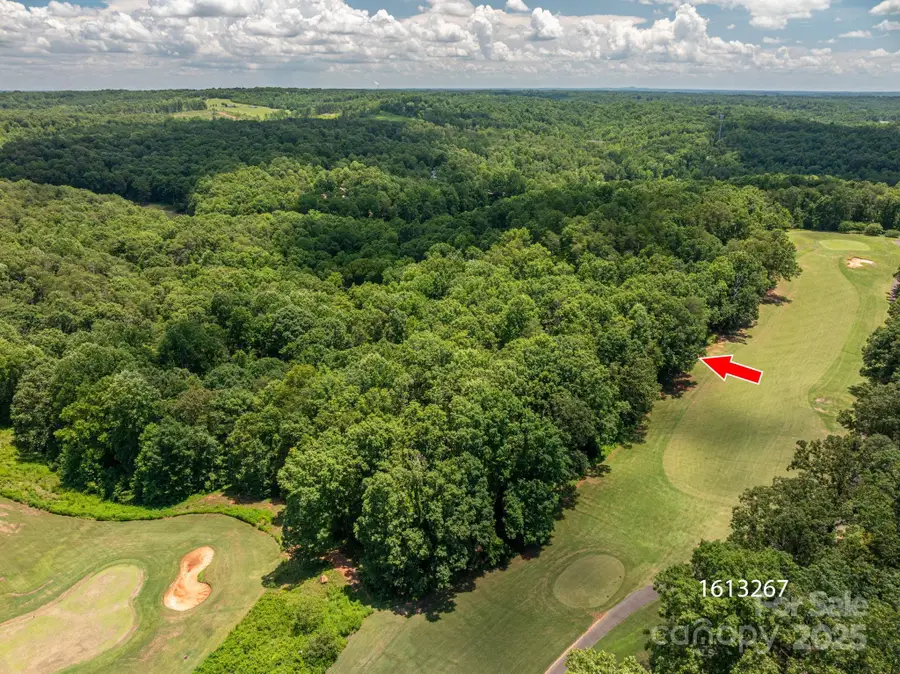 Lot 217 Plantation Drive, Rutherfordton, NC 28139 - Image #3