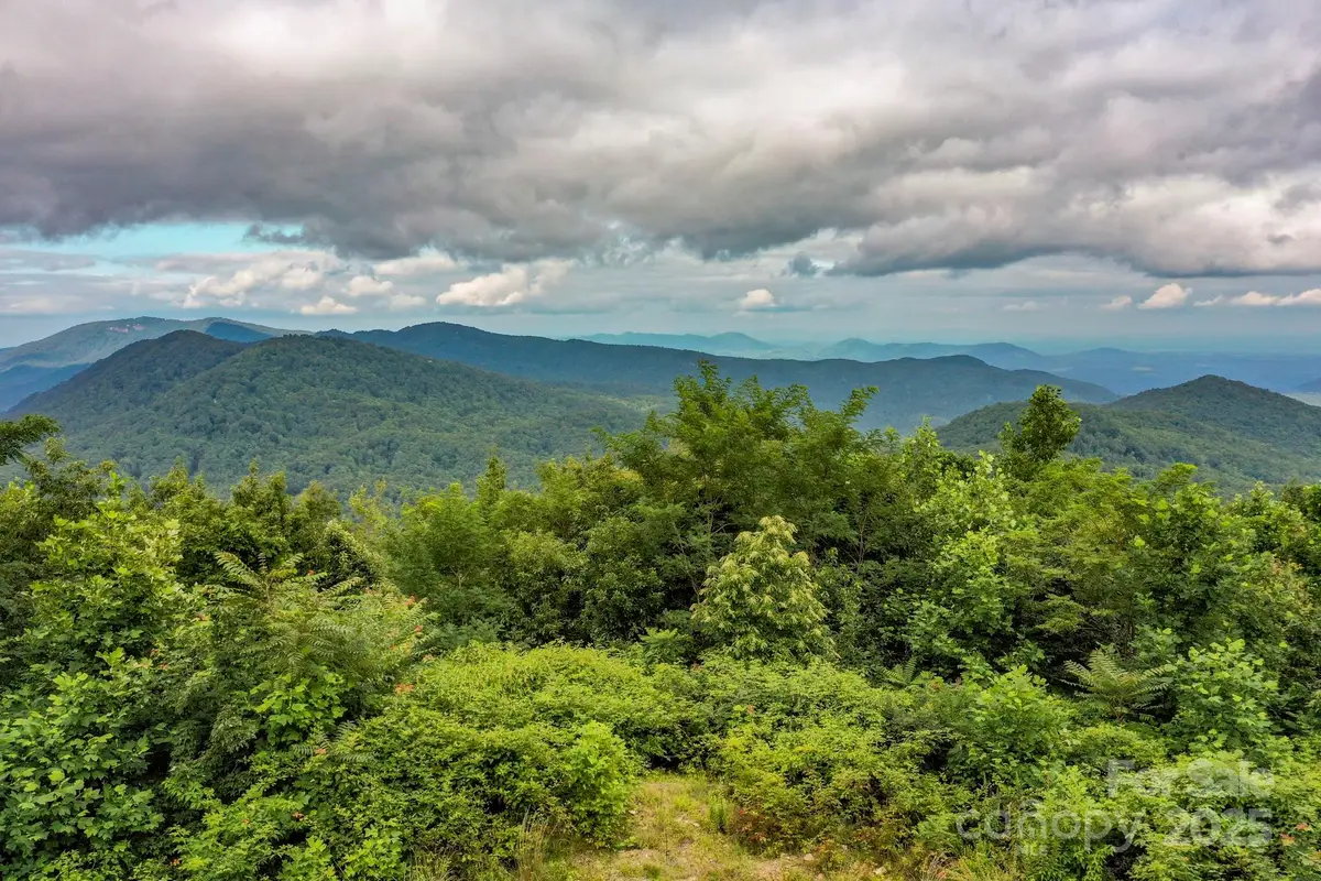 9999 High Cliffs Trail, Black Mountain, NC 28711 - Image #1