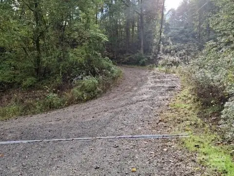 29 Toad Drive, Asheville, NC 28806 - Image #3