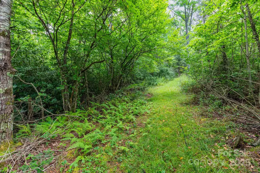 99999 Rock Creek Road, Burnsville, NC 28714 - Image #3