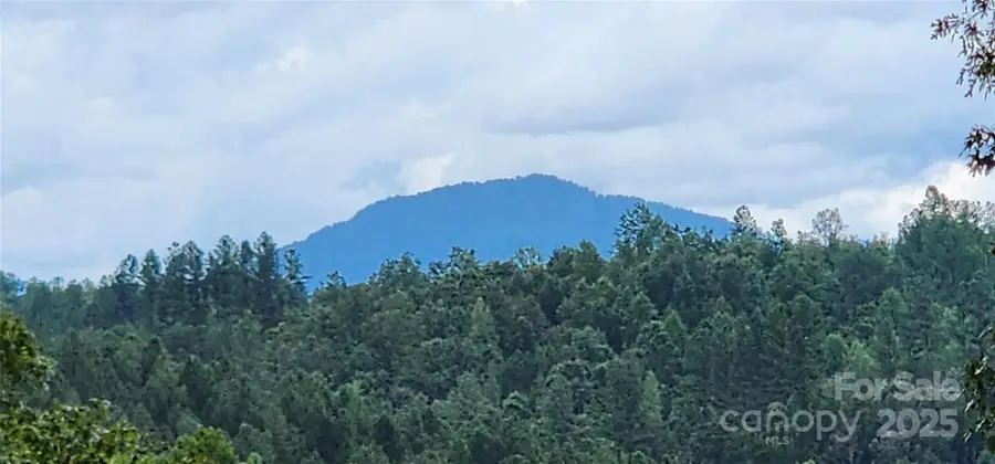 LOT 3 S Cross Creek Trail, Mill Spring, NC 28756 - Image #2