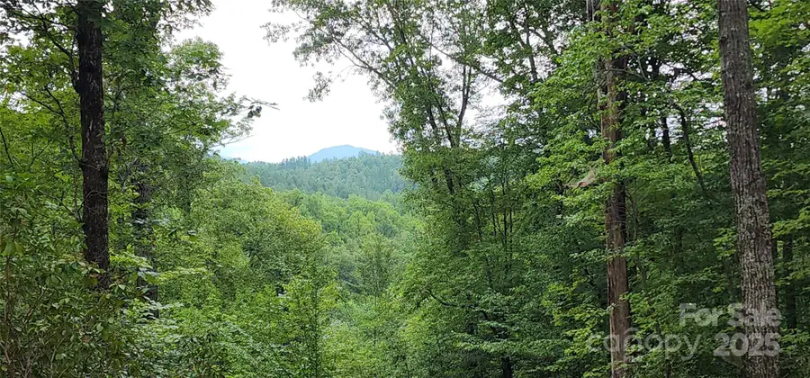 LOT 3 S Cross Creek Trail, Mill Spring, NC 28756 - Image #3