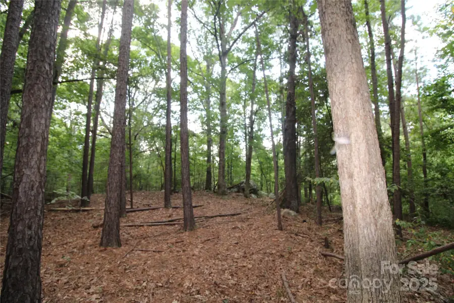 Lot 1 Lake Wylie Drive, Rock Hill, SC 29732 - Image #2