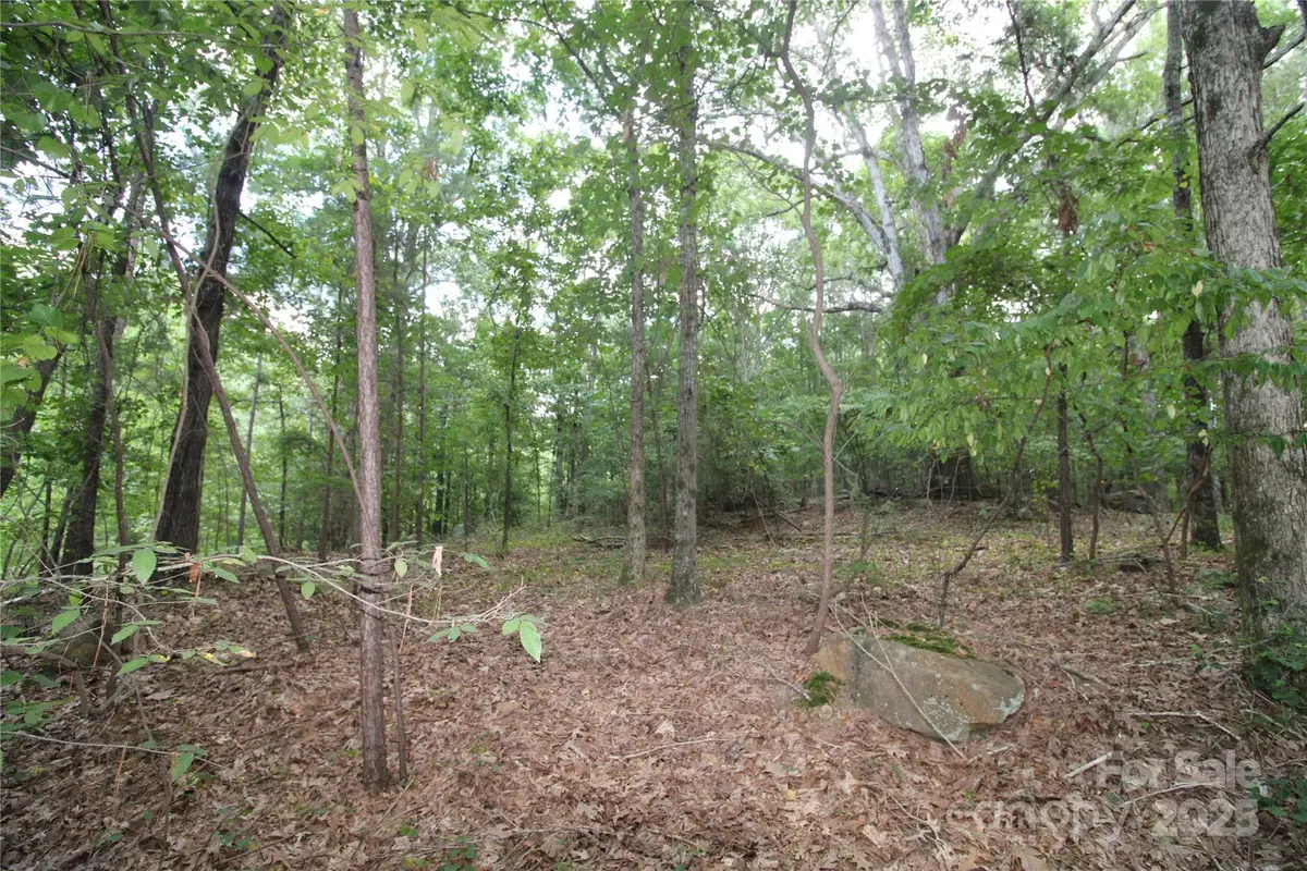Lot 2 Lake Wylie Drive, Rock Hill, SC 29732 - Image #1