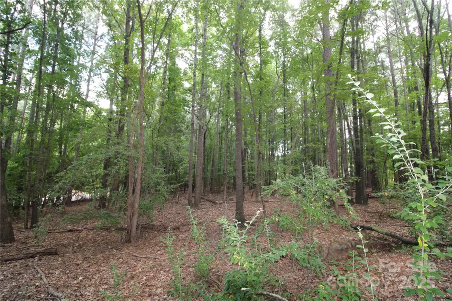 Lot 2 Lake Wylie Drive, Rock Hill, SC 29732 - Image #3