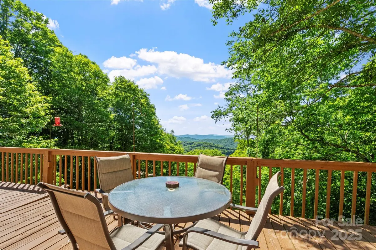 894 Mckinney Gap Drive, Mars Hill, NC 28754 - Image #1