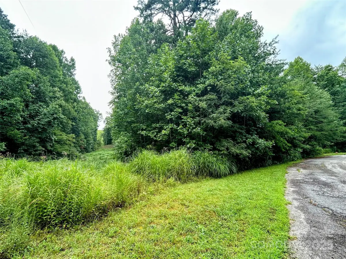 Lot 3 Azalea Way, Saluda, NC 28773 - Image #1