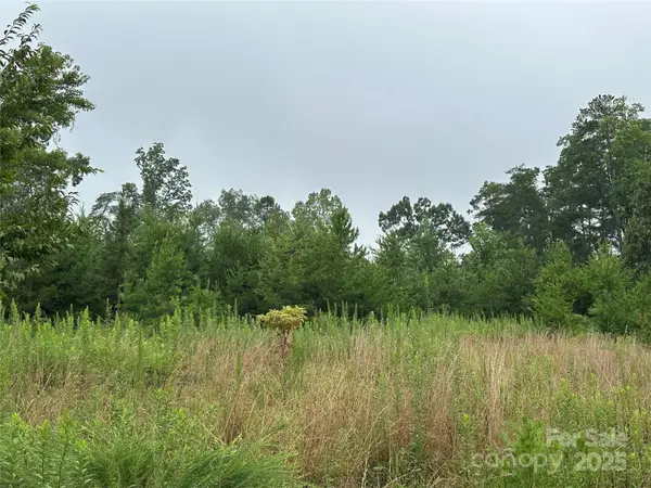 Lot 1 Celestial Drive, Nebo, NC 28761