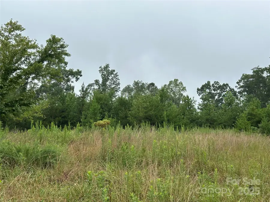 Lot 1 Celestial Drive, Nebo, NC 28761 - Image #2