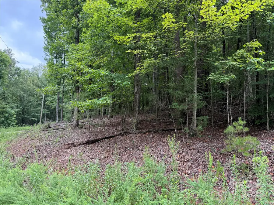 00 Woodchuck Lane #110, Marion, NC 28752 - Image #2