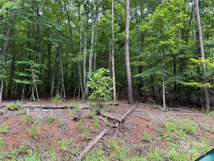 00 Woodchuck Lane #110, Marion, NC 28752 - Image #3